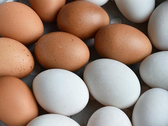 Como escolher ovos